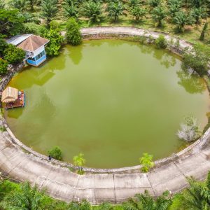 Phuket Fishing Park Drone